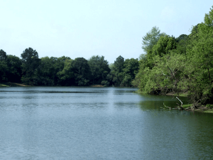 Main lake at Sea Pines Forest Reserve